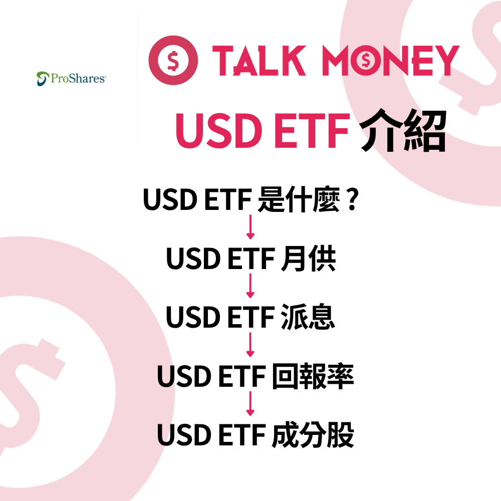USD ETF 分析：兩倍做多半導體比SOXL 更穩？成分股、原理及操作全攻略