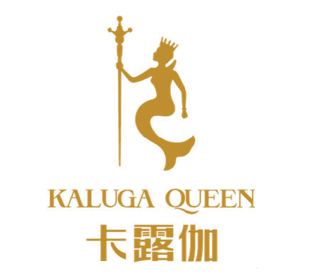 鱘龍科技 06715.HK IPO 香港上市 招股價、孖展、認購及集資額全面攻略